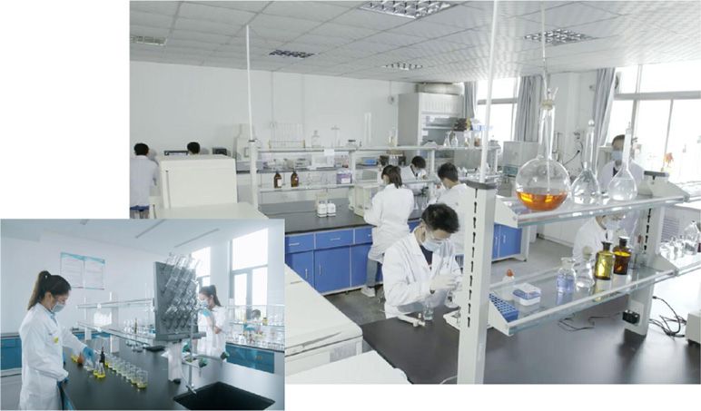 河南艾格多動(dòng)物營養(yǎng)研究院