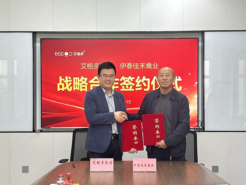 強(qiáng)強(qiáng)聯(lián)合，共筑蛋雞產(chǎn)業(yè)新篇章：艾格多集團(tuán)與佳禾禽業(yè)簽署戰(zhàn)略合作協(xié)議